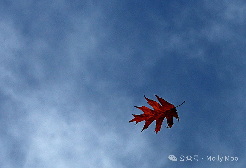 A Collection of Poems _02.png A Collection of Poems _02.png